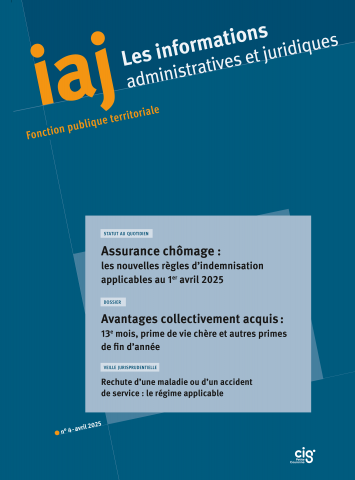 IAJ 04-2025